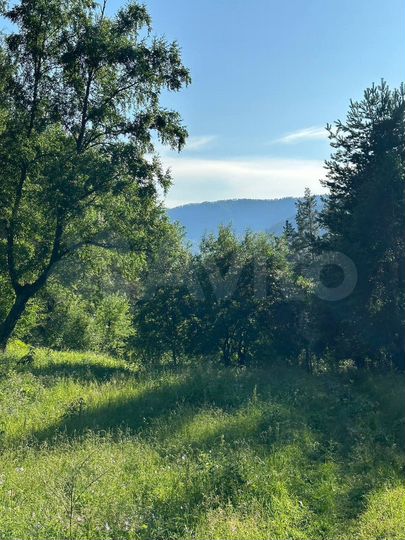 Участок 1,8 га (СНТ, ДНП)