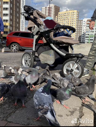 Коляска PEG perego 3 в 1