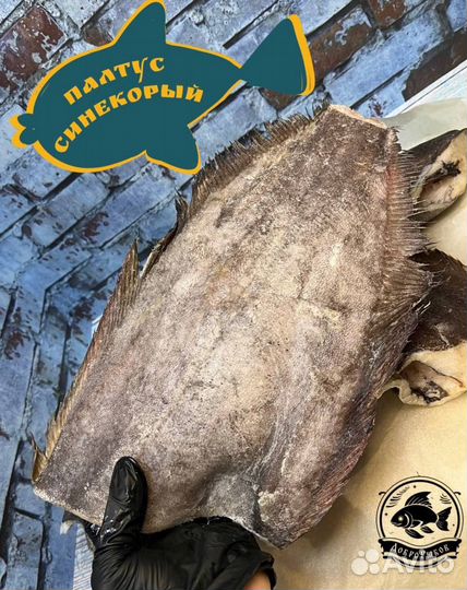 Конгрио и палтус синекорый