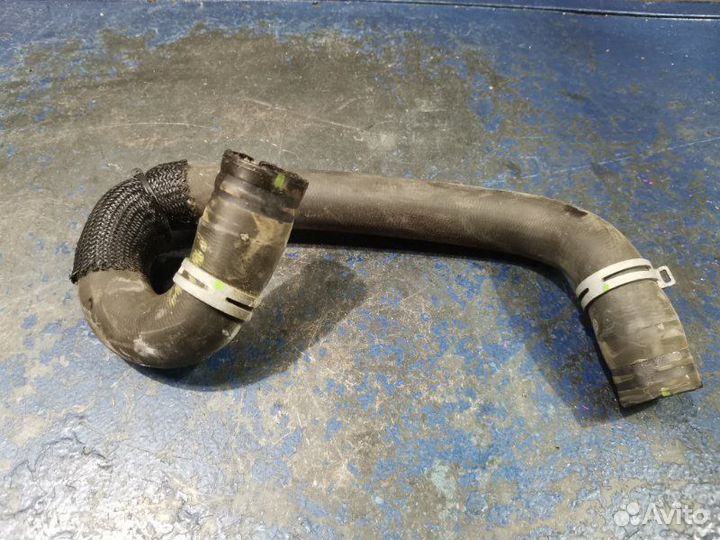 Патрубок охлаждения нижний Ford Focus 3 CB8