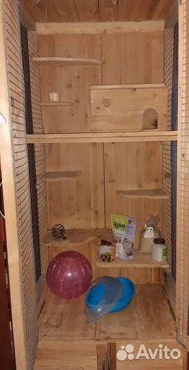 Витрина для шиншилл