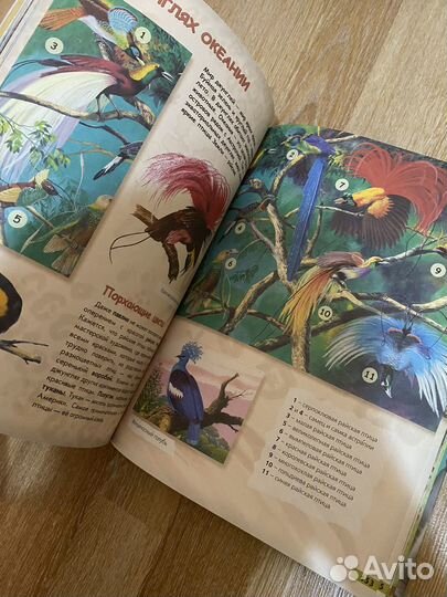 Детские книжки