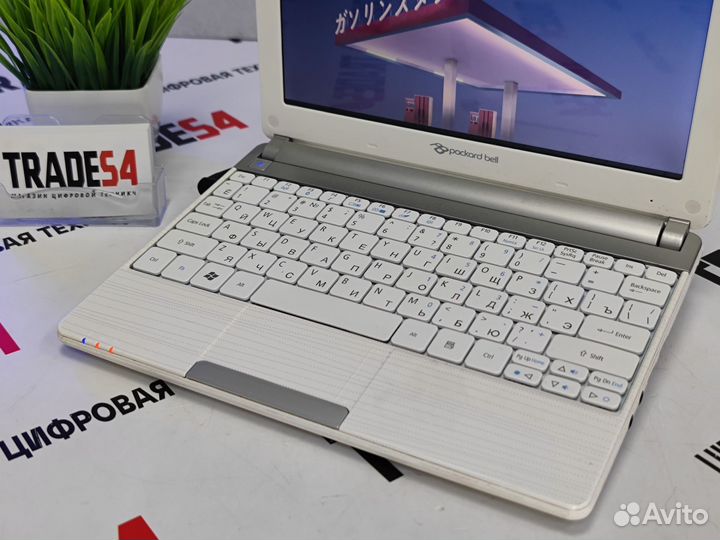 Нетбук Packard Bell 10.1