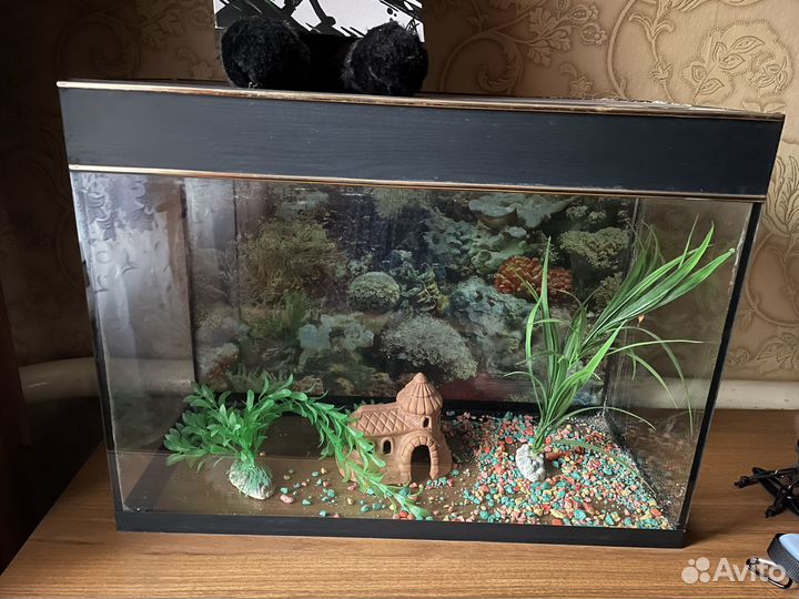 Аквариум