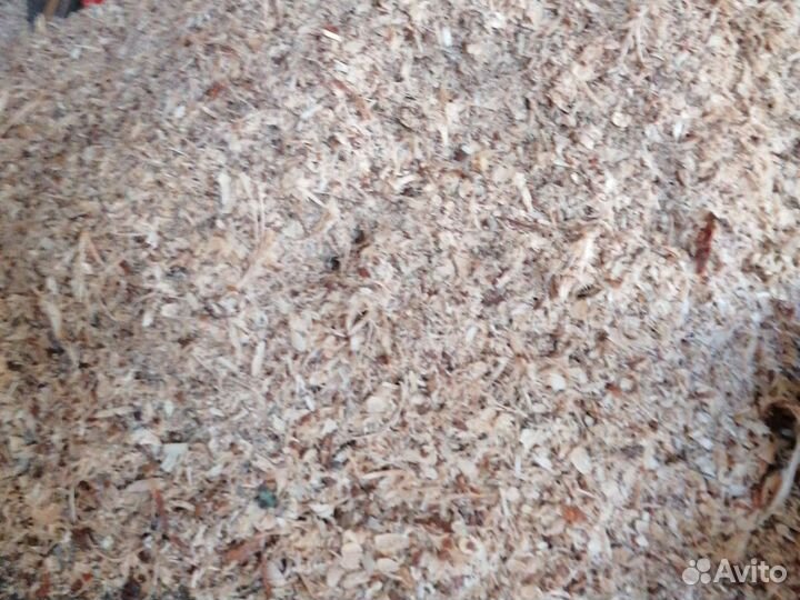 Щепа, мульча, опилки, стружка сосновая