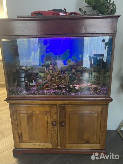 Аквариум