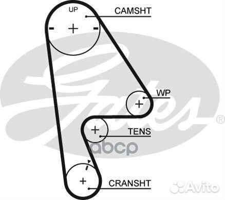 76103x24 Ремень грм 5409XS Gates
