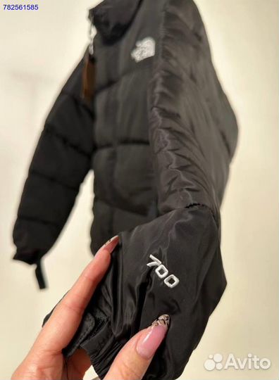 Куртка (пуховик ) the north face 700