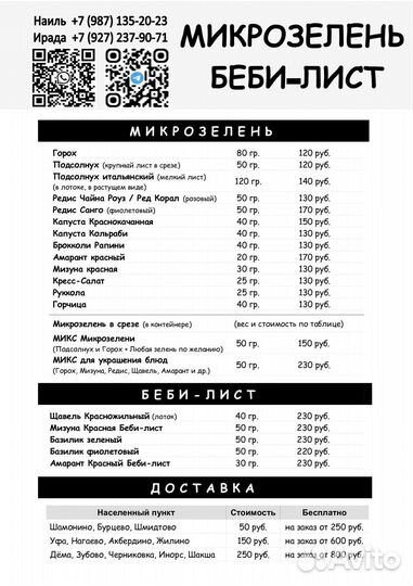 Горох Микрозелень для Ресторанов