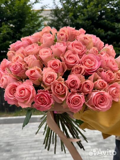 Роза персиковая букет 51 шт.Доставка