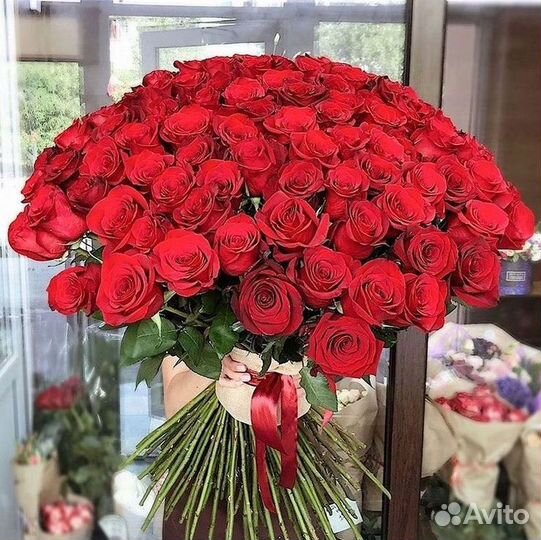 Высокие розы Гигантские Розы 150 160 170 180 190см