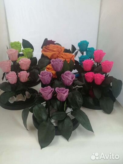 Стабилизированная роза в колбе оптом и в розницу