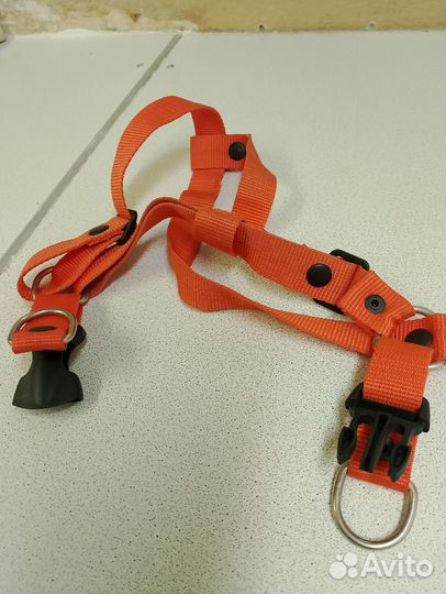 Шлейка для собаки