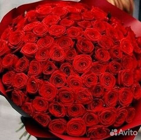 Букет роз 101 роза 51 роза
