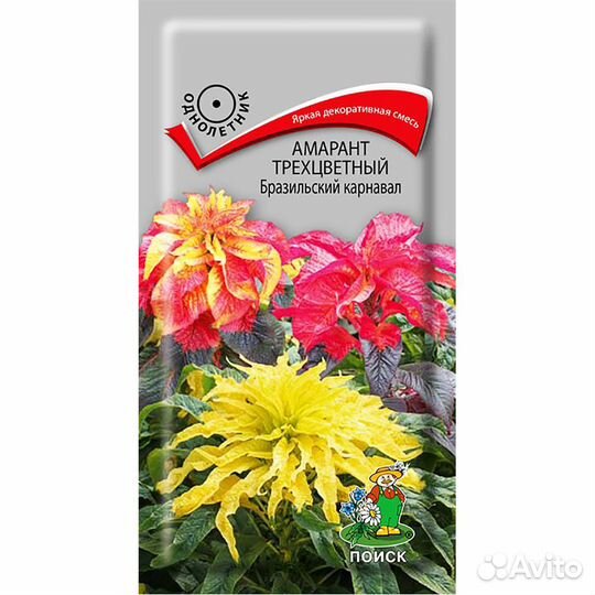 Амарант Бразильский карнавал трёхцветный