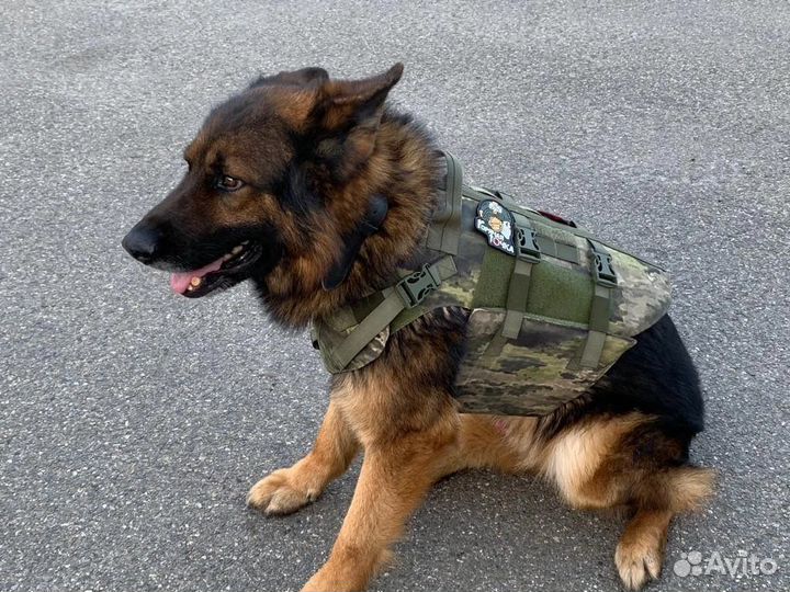 Бронежилет К9