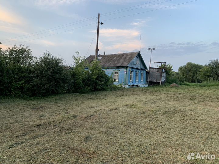 Покос травы триммером