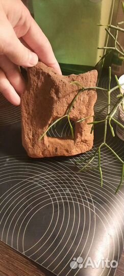 Камень декоративный для аквариума