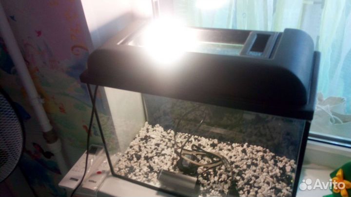Аквариум с подсветкой,грунтом,фильтром