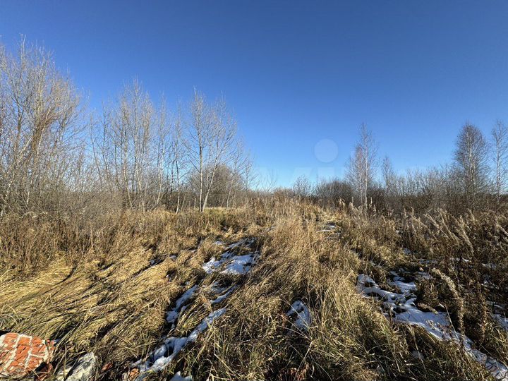 Участок 11 сот. (СНТ, ДНП)