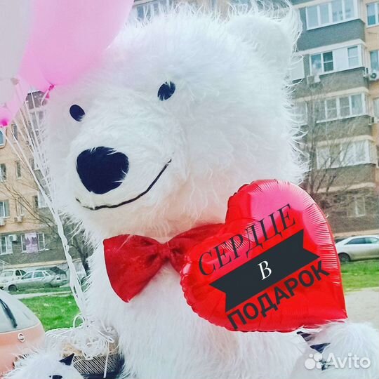 Белый мишка танцующий поздравление, выписка