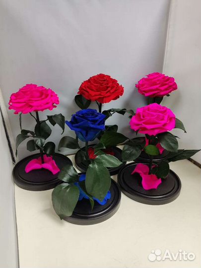 Роза в колбе оптом и в розницу