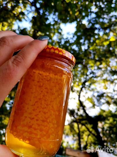 Майский мёд 2024г