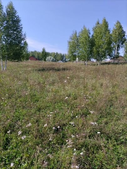 Участок 10 сот. (ИЖС)