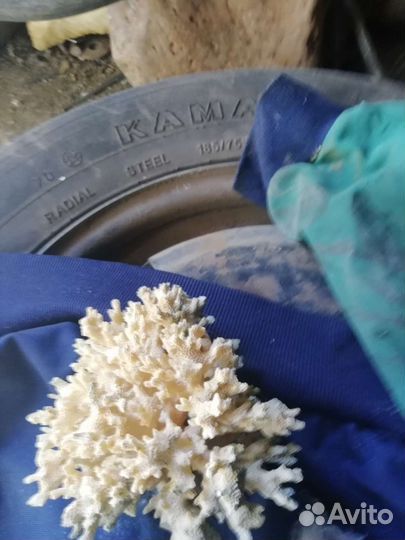 Декорации для аквариума