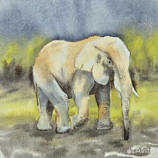 Картины акварель