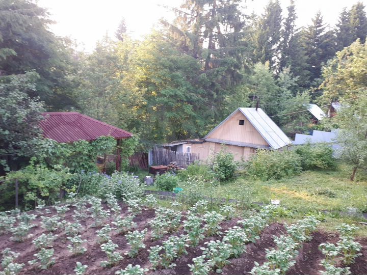 Дача 46 м² на участке 10,4 сот.