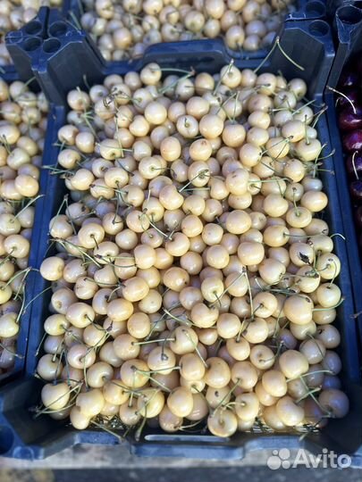 Черешня белая