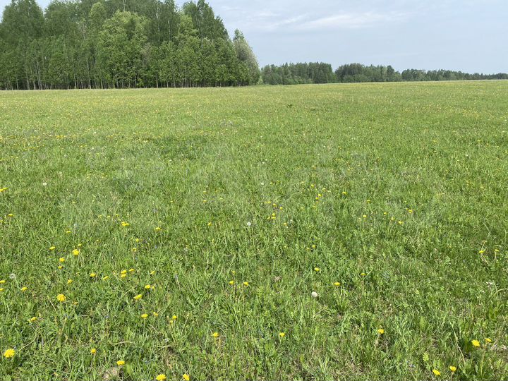 Участок 10 сот. (ИЖС)