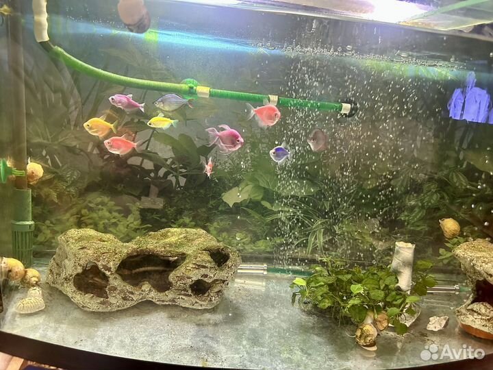 Фильтр для аквариума внешний eheim