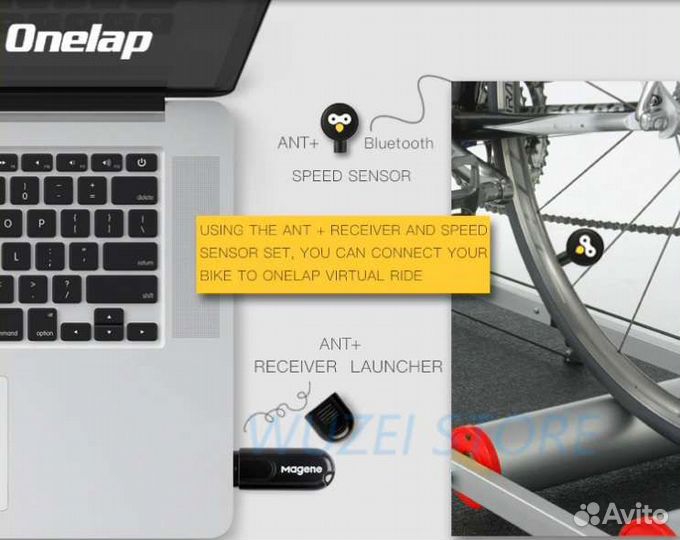 Magene ant + speed