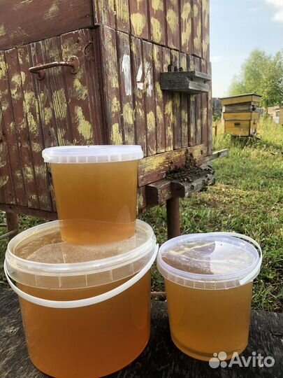 Мед цветочный 2023