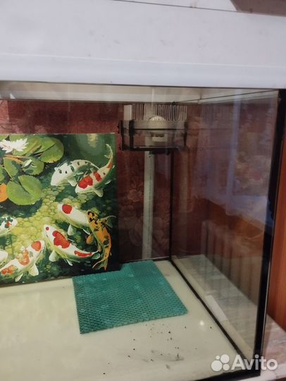 Аквариум с системой фильтрации сип