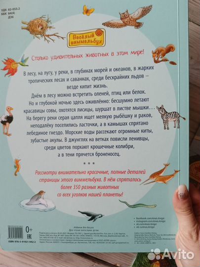 Детские книги виммельбух