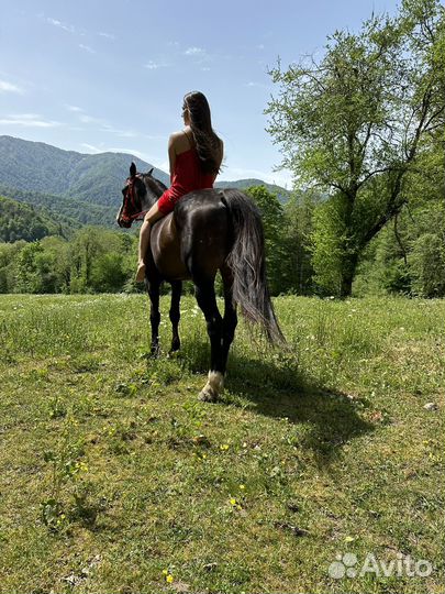 Тур в горы (кони, джиппинг, баня)