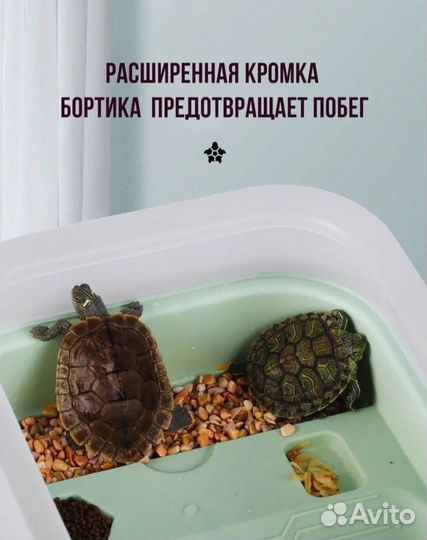 Аквариум террариум для черепах