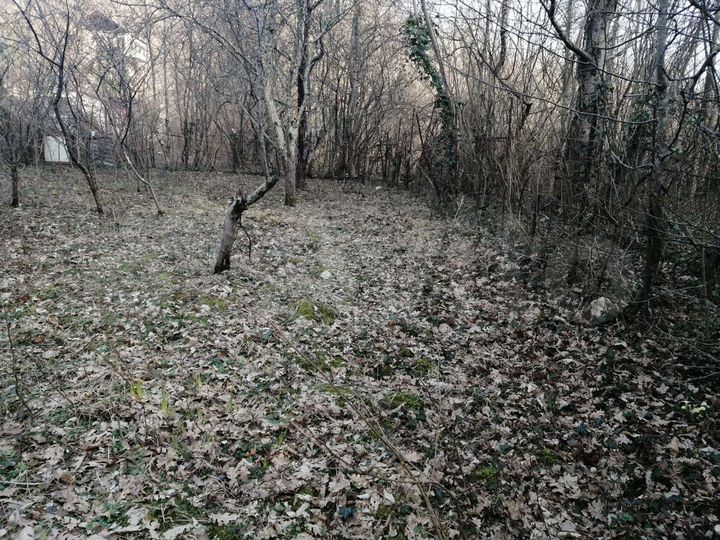 Дача 20 м² на участке 5 сот.