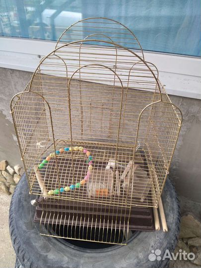 Клетка для волнистого попугая
