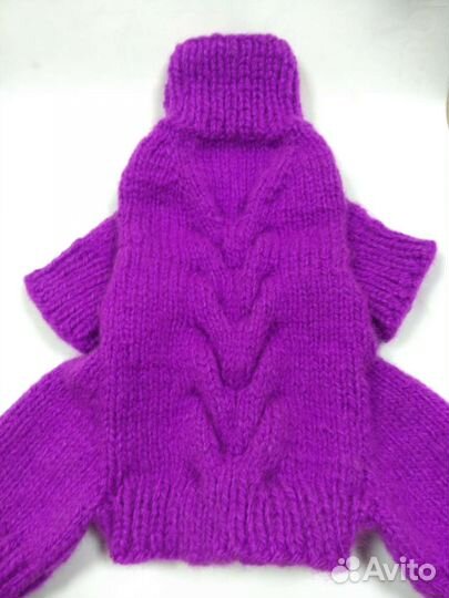 Одежда для собак