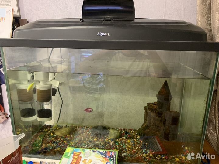 Аквариум