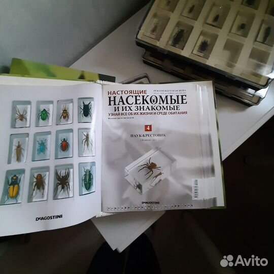 Коллекция Деагостини 