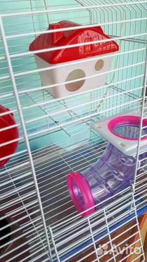 Клетка для грызунов