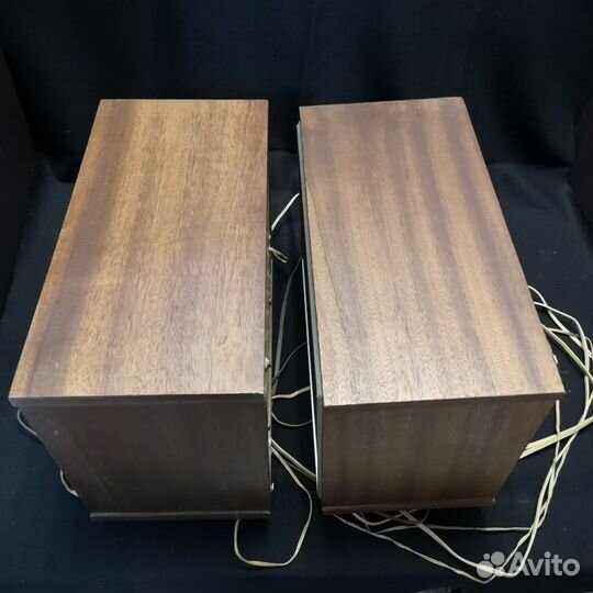 Акустическая система 10мас-1М