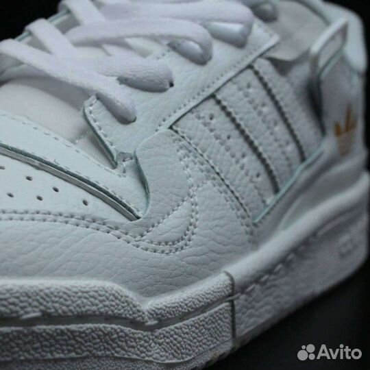 Adidas Forum 84 Low White