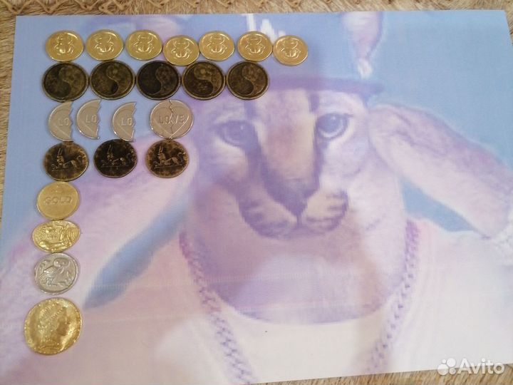 Монеты магазина магнит