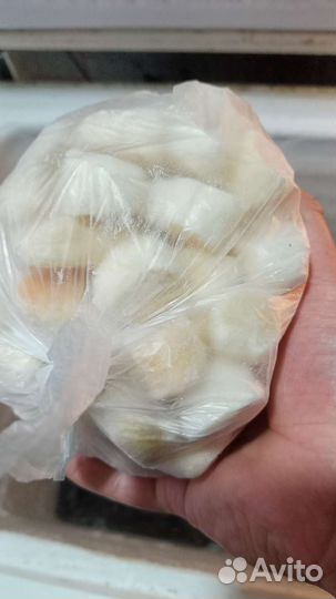 Филе морского гребешка